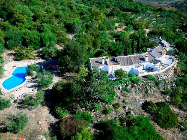 Los Algarrobales ( Paraíso )